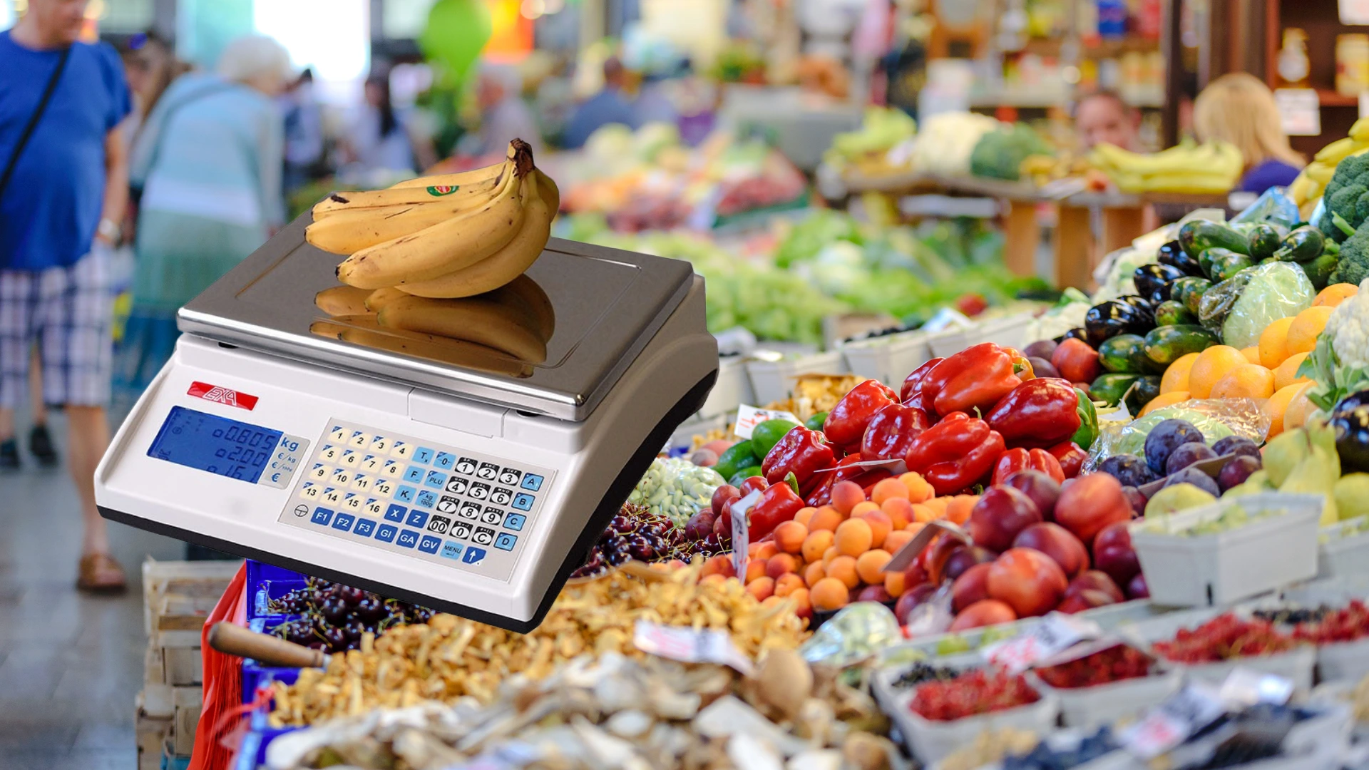 Balance Exa Pesage Marte 10 V4 ILC